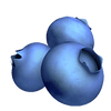 Color option